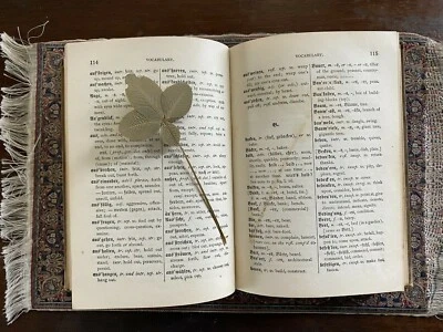 Traumereien Richard Leander 1894 1st Edition by W.H. Van Der Smissen In German - Image 1 of 4