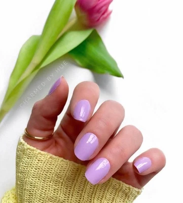 Цвет уличной моды Prague-er снятый с производства набор - Изображение 1 из 4