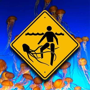 QUALLEN GEFAHRSCHILD - australisches Strandwarnschild - lustiges Pooldekor - Bild 1 von 8