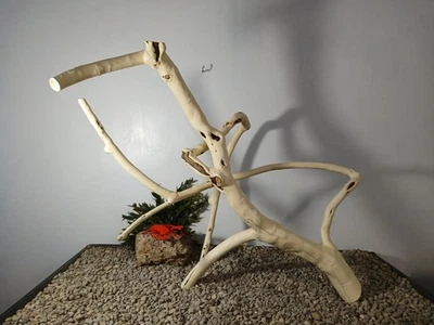 Driftwood aquarium fish & reptiles xl 22H x 29w x 17deep natural formation decor - Image 1 of 4