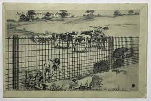Jacob Haish Company Dekalb IL Illinois Dog Pigs Child 1910s Advertising Postcard - Picture 1 of 2