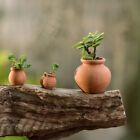 Vase décoratif miniatures maison de poupée miniatures mini pot de fleurs en terre cuite à faire soi-même Dollhou Cq