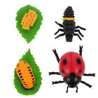 4PCS Wild Animals Model Kids Toy Insect Figures Growth Cycle Model