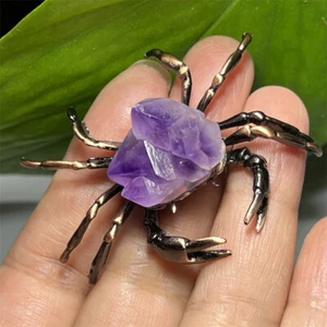 2"+ Natural Amethyst teeth Crab skull Quartz Crystal skull healing Random 1pc - Bild 1 von 7
