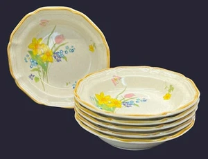 6 Mikasa Garden Club Early Spring EC 408 Flat Rimmed Soup Bowls Japan 8" - Picture 1 of 10
