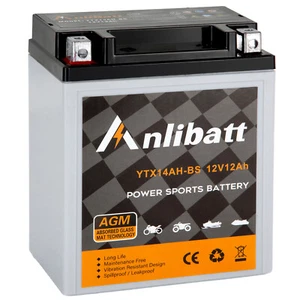 YTX14AH-BS Sealed AGM ATV Motorcycle Battery High Performance Maintenance Free - Picture 1 of 8