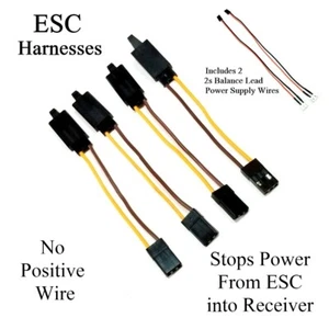 RCP-JRJST ESC Harness WITHOUT Positive Wire & 2s Balance Lead Power - Picture 1 of 18