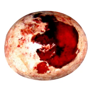 8.53 ct Pretty Oval Cabochon (14 x 12 mm) Un-Heated Mexico Matrix Fire Opal - Picture 1 of 1