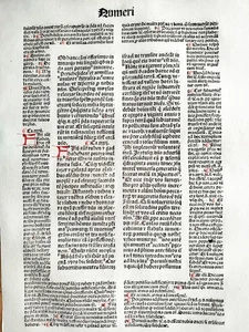 Foglio Incunabolo originale Biblia latina Numeri Koberger Folio - 1487 - Foto 1 di 3