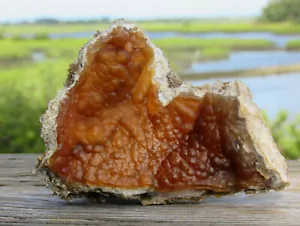 Agatized Coral / Druzy Crystal / Natural Geode / Stunning Specimen / A46 - Picture 1 of 5