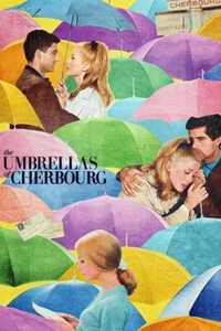 The Umbrellas of Cherbourg (1964) poster - Picture 1 of 4