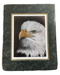 Bald Eagle Print “The Eye Window to the Soul” Double Matted Signed 16x20 - Picture 1 of 9