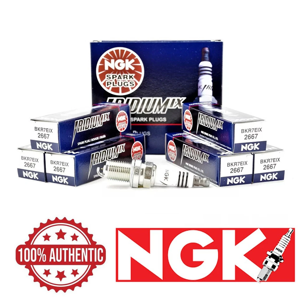 Bujía (6 piezas) OE NGK para Porsche 911 Boxster Cayman 2002-2008 Foto 1 de 1