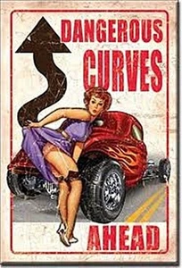 Dangerous Curves Ahead steel fridge magnet (de) - Picture 1 of 1