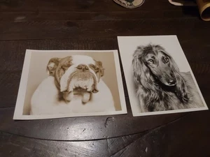 2 1930s Press Photos of Dogs-  Bulldog & another Cute! - Picture 1 of 4