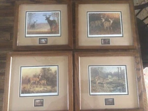 Deer Unlimited Conservation Print & Stamp signed & Number1981,82,83,84 framed, . - Picture 1 of 10