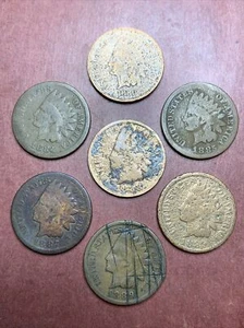 Lot 7 Indian Head Penny 1 Cent US Münzen - 1880-1889, AG bis G Details - Bild 1 von 8