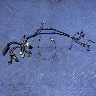 Arnés de cableado Harley Davidson Touring Models OEM EFI 2000-2003 70233-00 Foto 1 de 4