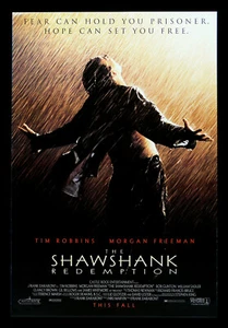 THE SHAWSHANK REDEMPTION ⛆ CineMasterpieces ORIGINAL MOVIE POSTER 1994 ⛆ - Picture 1 of 1