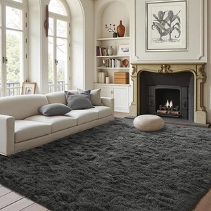 FinRèc Soft Dark Grey Rugs for Bedroom Living Room, 4x6 Feet Modern Indoor F... - Picture 1 of 7
