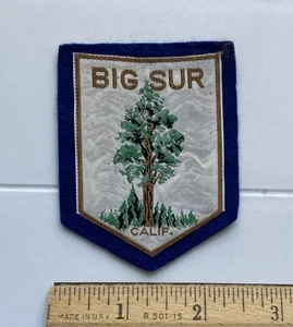 Vintage Big Sur California Sequoia Redwood Tree Souvenir Felt Patch Badge - Picture 1 of 3
