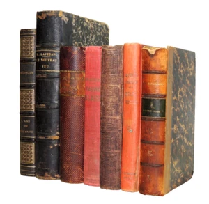 Los Bücher Ältere Literatur Im Zusammenhang Mit Leder XIX / Xxe. Chateaubriand, - Bild 1 von 10