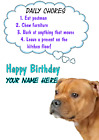 Staffordshire Bull Terrier brown Birthday Rules Greeting card hy A5 Personalised