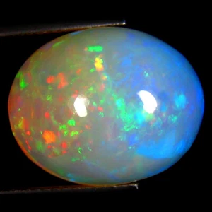 15.69 ct Eye-popping Oval Cabochon (19 x 15 mm) Flashing Multi Rainbow Opal - Picture 1 of 2