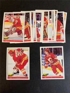 1993-94 OPC O-Pee-Chee Premier Calgary Flames Team Set 18 Cards - Picture 1 of 1