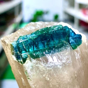 390G Turmalina Verde Natural Cuarzo Cristal Racimo Mineral Espécimen - Imagen 1 de 18