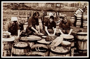 SCRABSTER, nr Thurso, Scotland - Herring Girls at Work Postcard - Picture 1 of 2