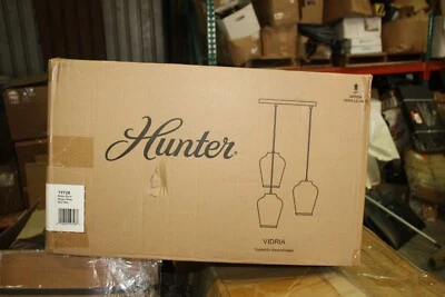 Lámpara colgante Hunter Vidria Cluster 19728 negro mate Foto 1 de 2