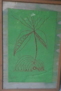 ALIK CAVALIERE (1926-1998) LITOGRAFIA SU SETA FIRMATA FIORE PIANTA VERDE - Imagen 1 de 5