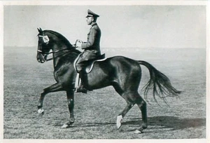 WILHELM VIEBIG GIMPEL TRAKEHNER DRESSURREITEN DRESSAGE IMAGE CARD - Picture 1 of 2