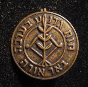 Alfiler participante del batallón premilitar Gadna Farms Be'er Ora grado bronce de Israel - Imagen 1 de 2