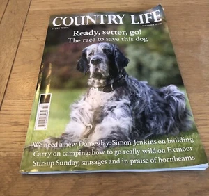 Country Life Magazine - November 22, 2023 - Picture 1 of 6