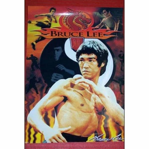 Bruce Lee Ready for Action 15 x 20" High Gloss Poster FREE Ship USA #3501 - Imagen 1 de 1