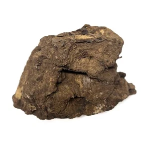 Paela/Chakte Viga Burl Cap/Bowl 13" x 11" x 8" | 20 lbs #808 - Picture 1 of 3