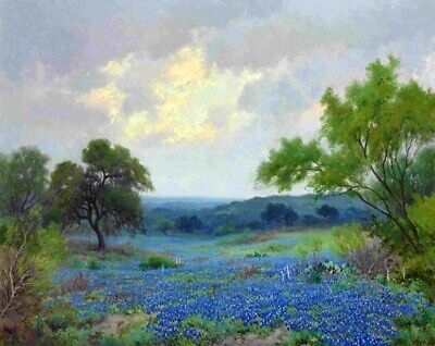 Texas Bluebonnets Landscape Oil Painting Giclee Art Printed On Canvas L2066 • 7.99€