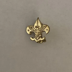 Vtg BSA Boy Scout RANK PIN TENDERFOOT Gold Tone TINY Fleur De Lis w Eagle Stars - Picture 1 of 4