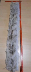 Echt Fell Rest Blaufuchs  ca 9,5x75 cm in gutem Zustand - Bild 1 von 5