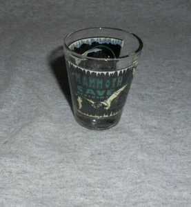 VINTAGE "MAMMOTH CAVE - KENTUCKY" SHOT GLASS (NEW OLD STOCK) - NICE - Picture 1 of 5
