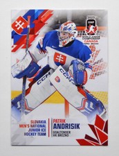 2023 BY Cards IIHF World Junior Championship Slovakia #112 Patrik Andrisik