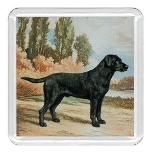 Labrador Retriever Hunde Hund Acryl Untersetzer Neuheit Getränk Tasse Matte tolles Geschenk - Bild 1 von 1