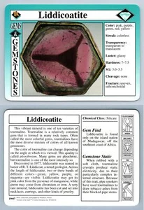 Liddicoatite #19.07 - Gems & Gemstones - Treasures Of The Earth Grolier Card - Picture 1 of 1