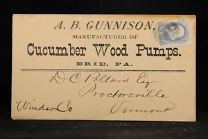 Pennsylvania: Erie 1870s Gunnison Cucumber Wood Pumps Advertising Cover - Picture 1 of 2