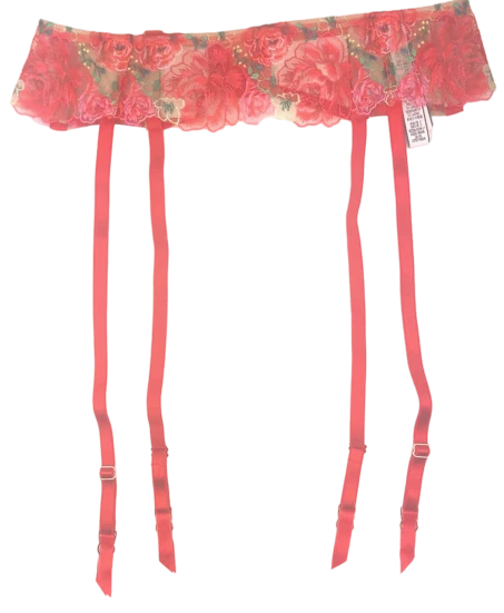 VICTORIA'S SECRET DREAM ANGELS FLORAL LACE EMBROIDERED GARTER BELT XS/S M/L NWT - Image 1 of 1