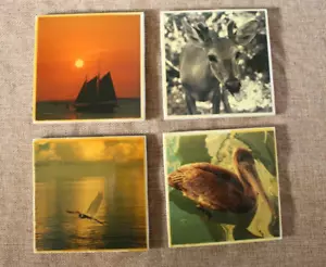 Set of 4 4.25" Square Tile Trivet Coasters Florida Keys Nature Photography - Picture 1 of 3