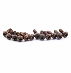 AGP ™ - Kluson ® Aged Relic Phillips Tuning Head Screws (12) #10302363 - Picture 1 of 1