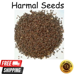 500g High Quality Peganum Harmal Seed Harm ala Wild Isband Hindi NEW بذور الحرمل - Picture 1 of 7